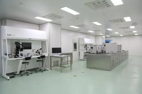 国外同性恋试管试管代怀费用明细（同性恋者试管受孕的成功率）